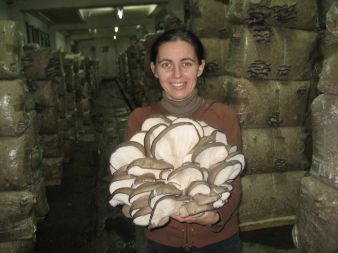 Bardzo duża kępa właśnie zerwana przez Panią kierowniczkę ;)