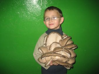 Kolejna duża kępa grzybów zerwana przez syna.